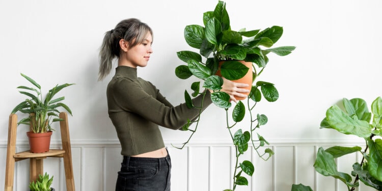 Connecting with Your Plants