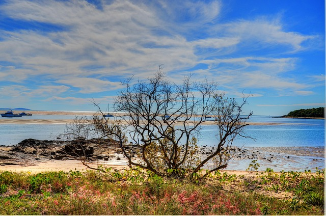 agnes waters, 1770, queensland