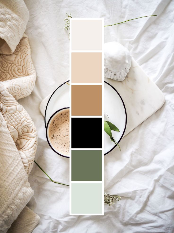 Choix de la palette de couleurs :