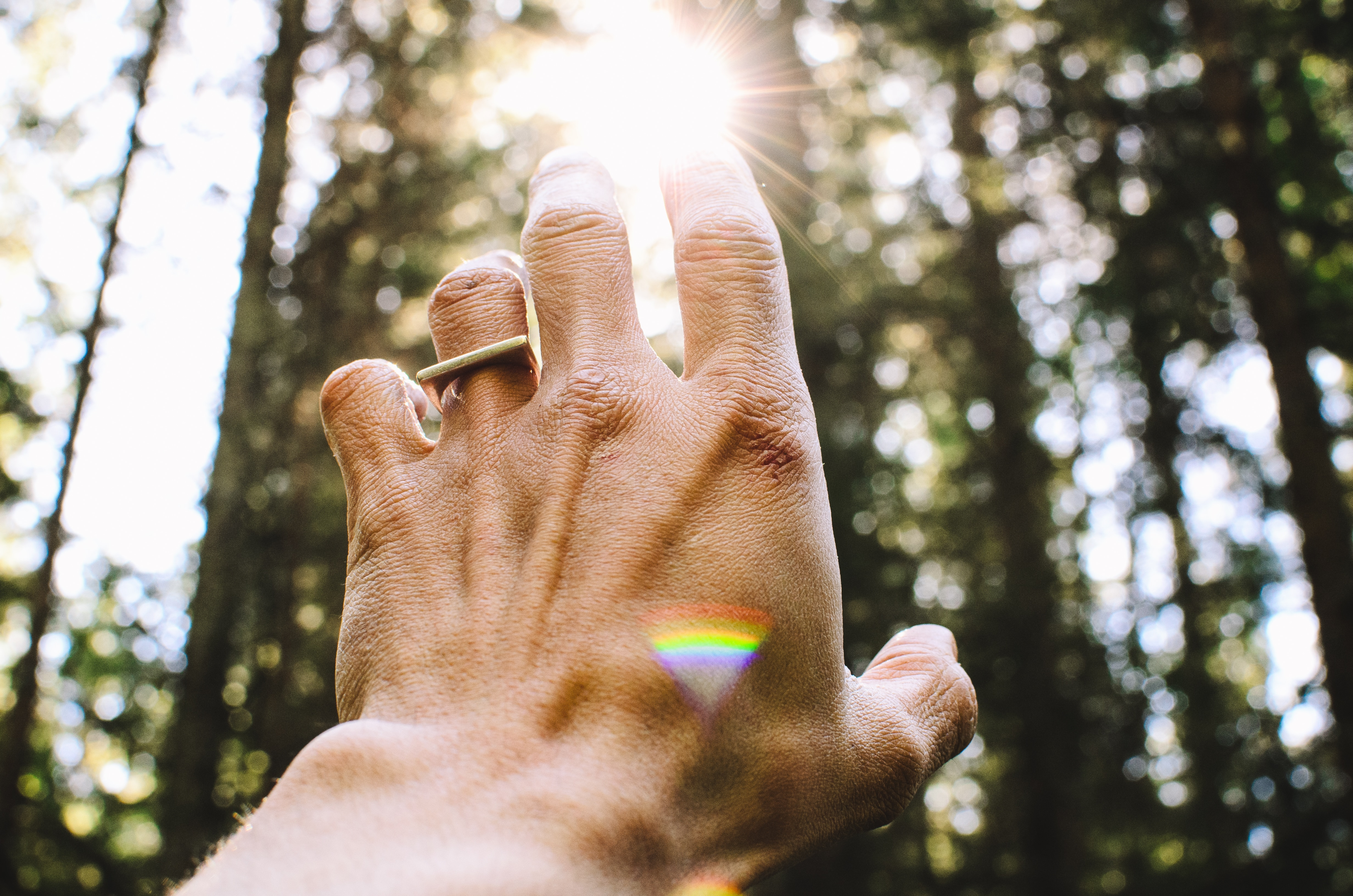 hand reaching to touch the sunlight coming through the trees