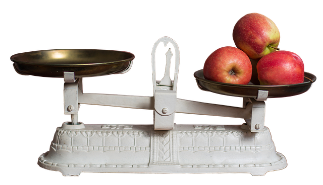 libra, apple, weight control, fruit, weigh, food, control, meal, vitamins, pan, weighing bowl, isolated, libra, libra, libra, weigh, weigh, weigh, weigh, weigh