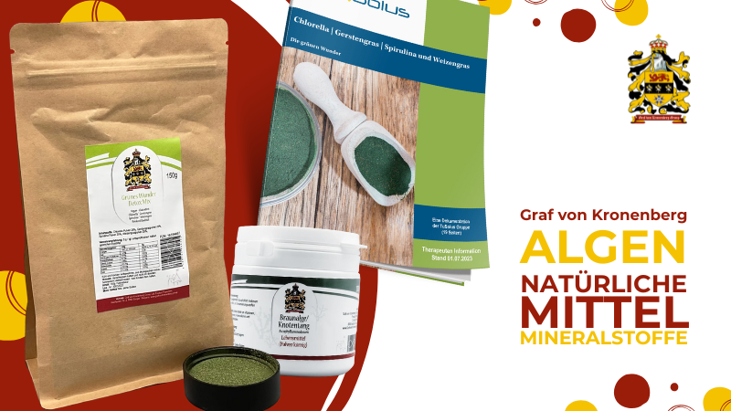 Hochwertige Algen-Produkte von GvK zur Integration in die tägliche Nahrungsaufnahme