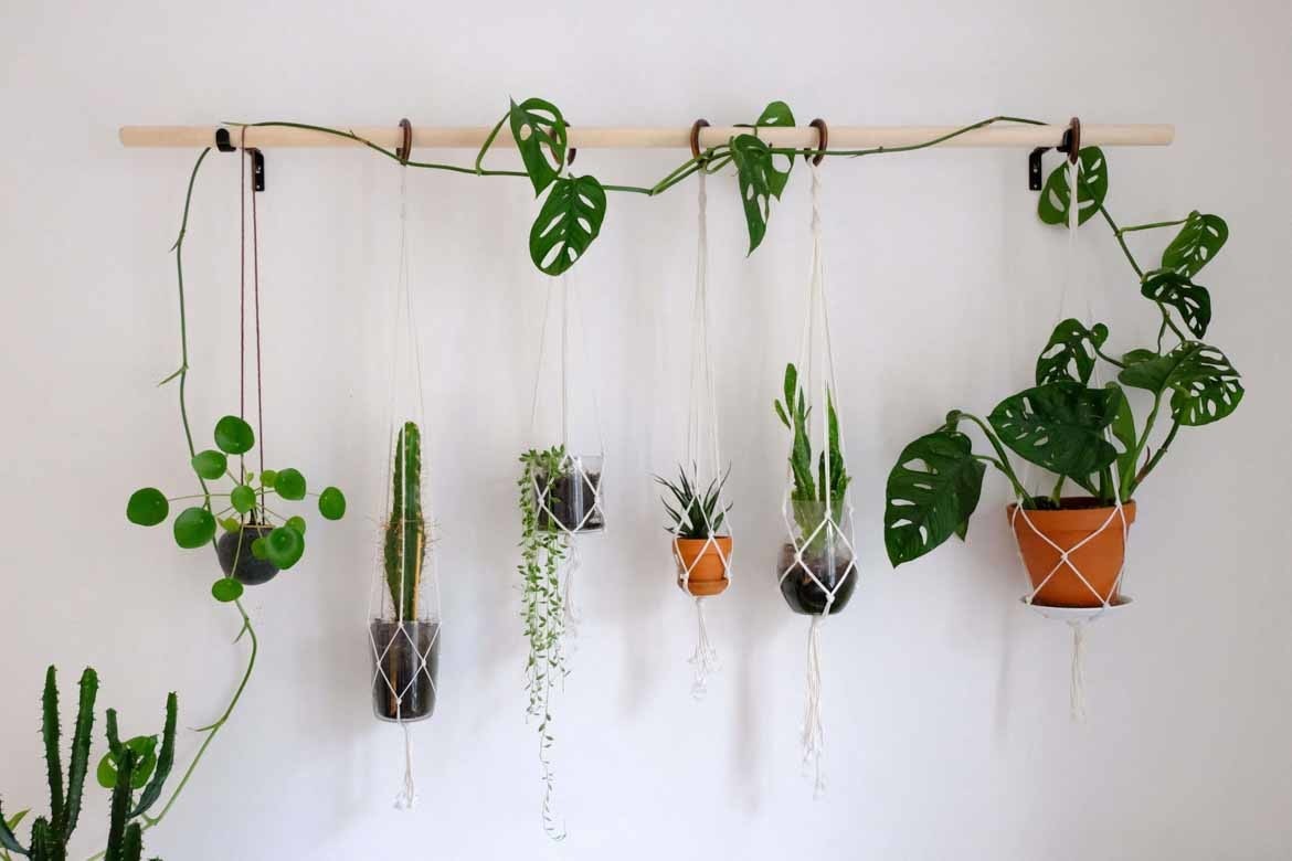 Hanging Plant Pots Indoor