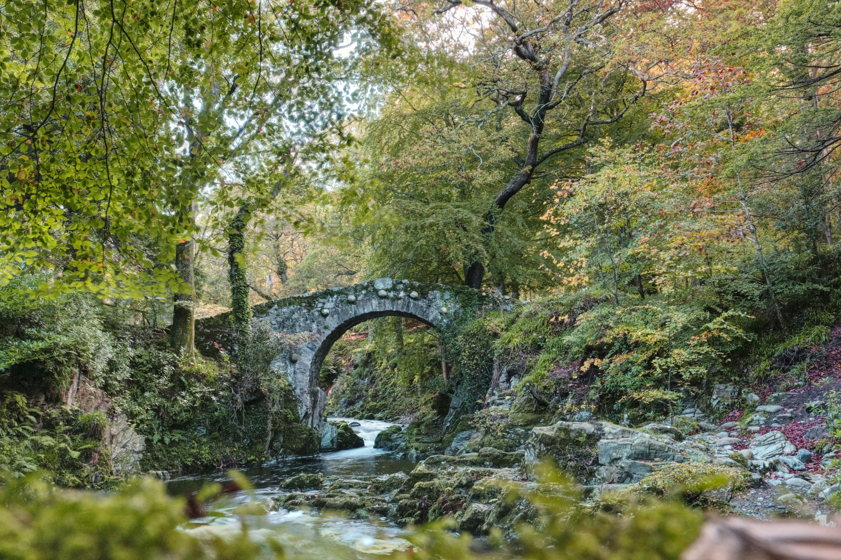 Game of Thrones Filming Location: Tollymore Forest Park