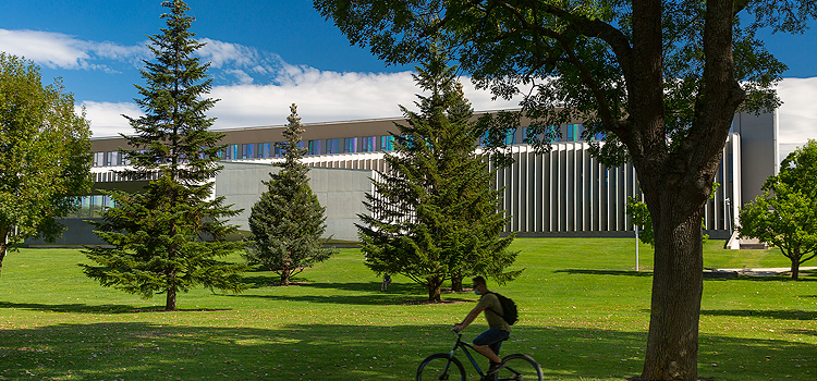 Universidad de Navarra