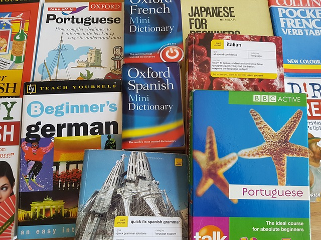 german, language, learning, books, german translation