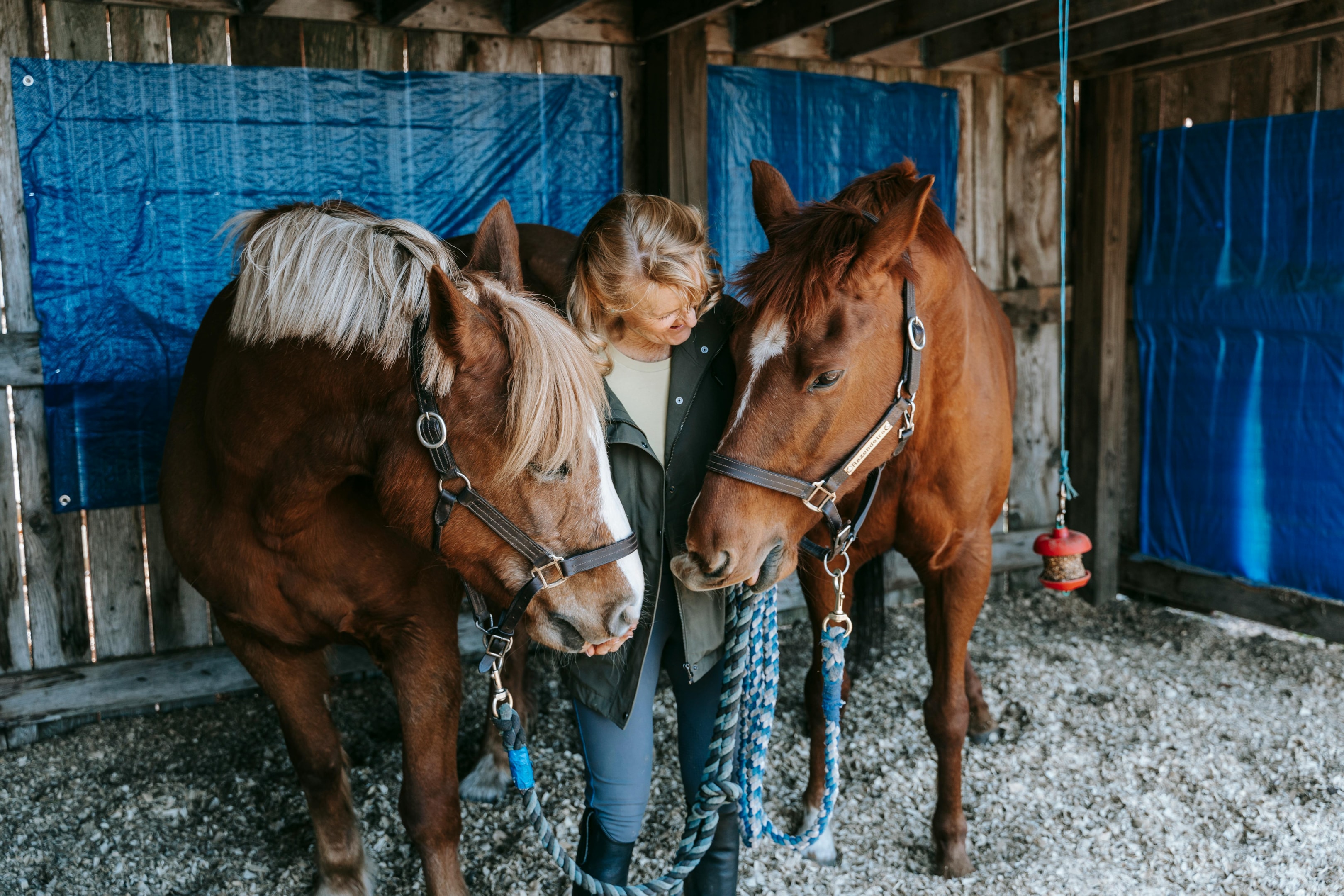 Two horses with a woman.
