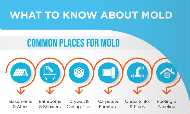 Common Places for Mold to grow