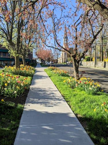 Hiking up a hill covered in tulips towards Second Congregational Church and Stanton House Inn
