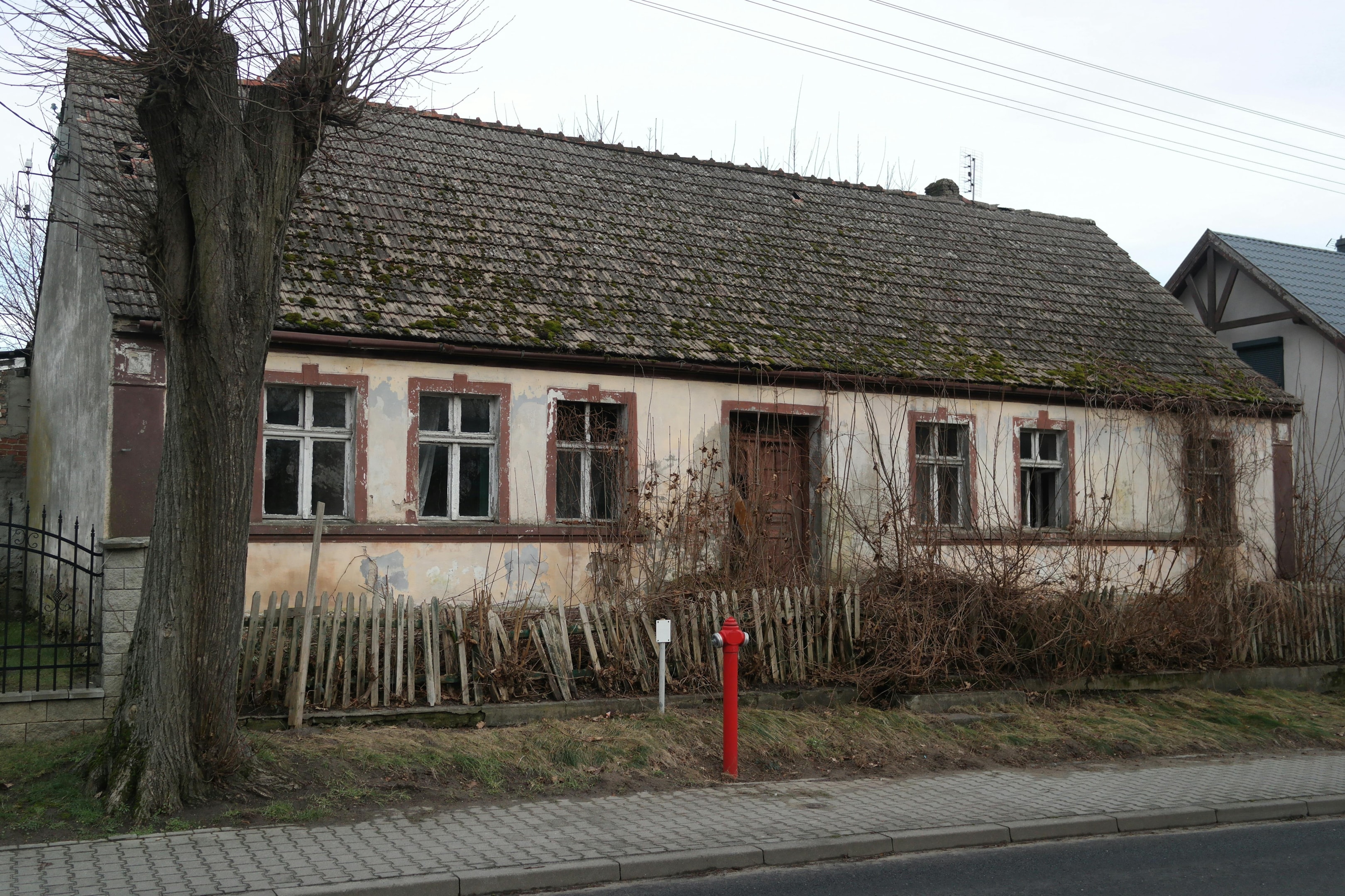 Abandoned property overgrown with plants.