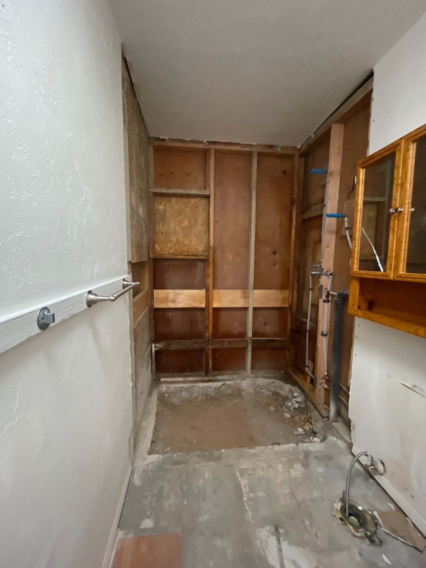 Mold was discovered during this bathroom remodel.