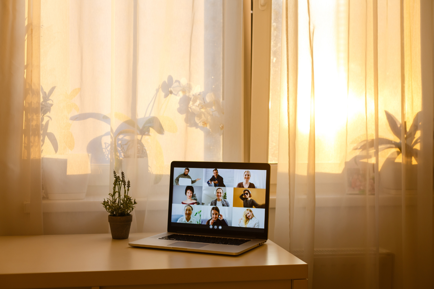 Video call shown on laptop screen.