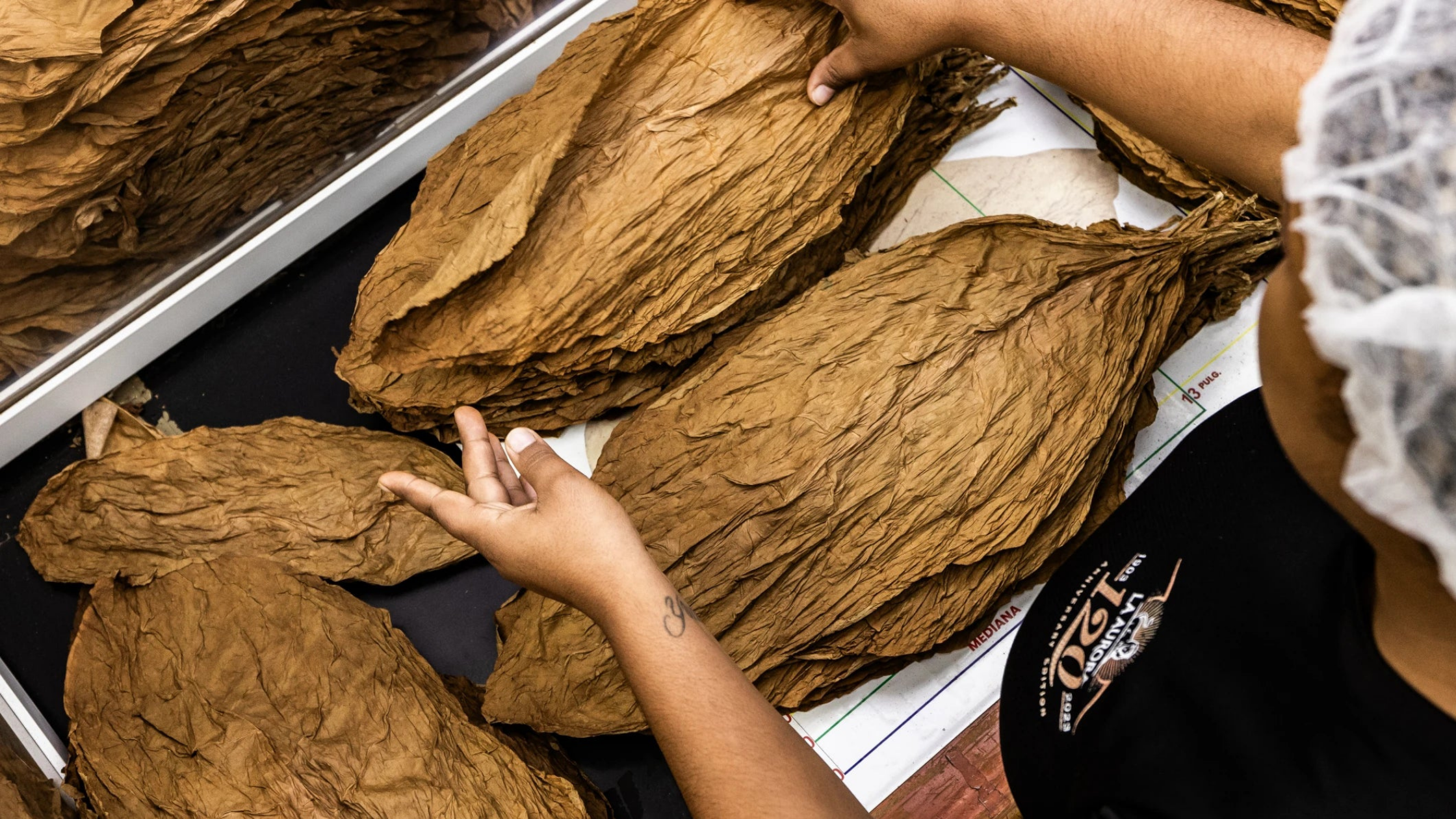 Cigar Construction and Consistency