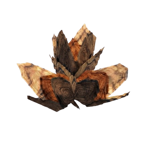 tree seeds valheim