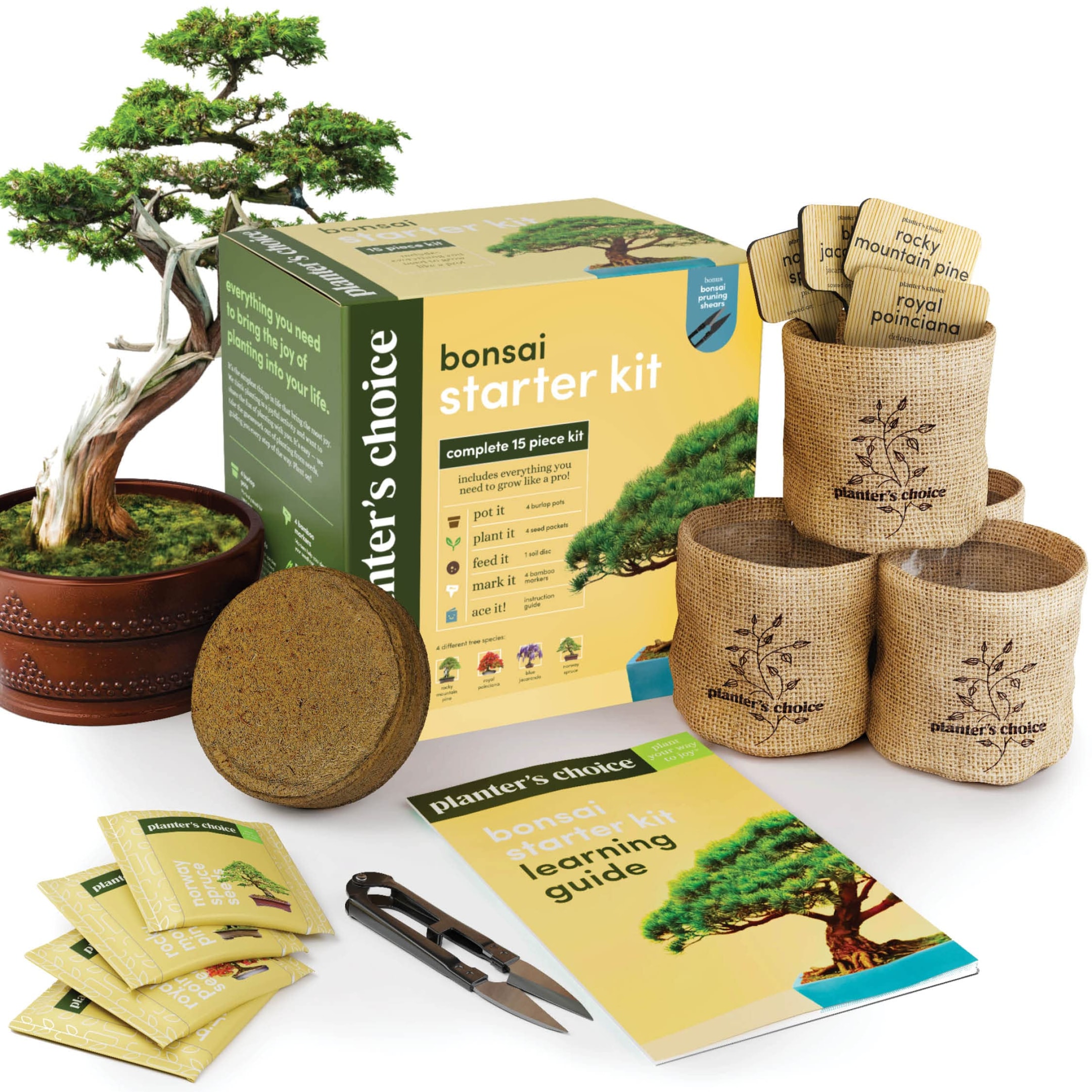 Bonsai Tree Starting Kit