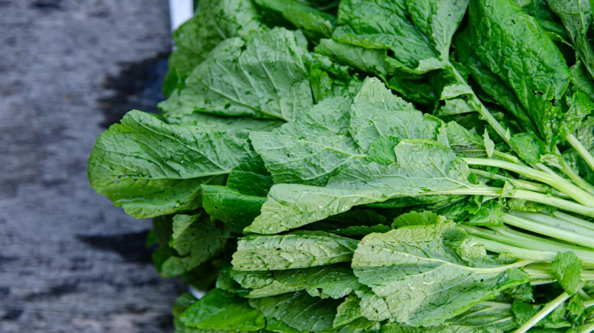 Best Greens to Eat Raw