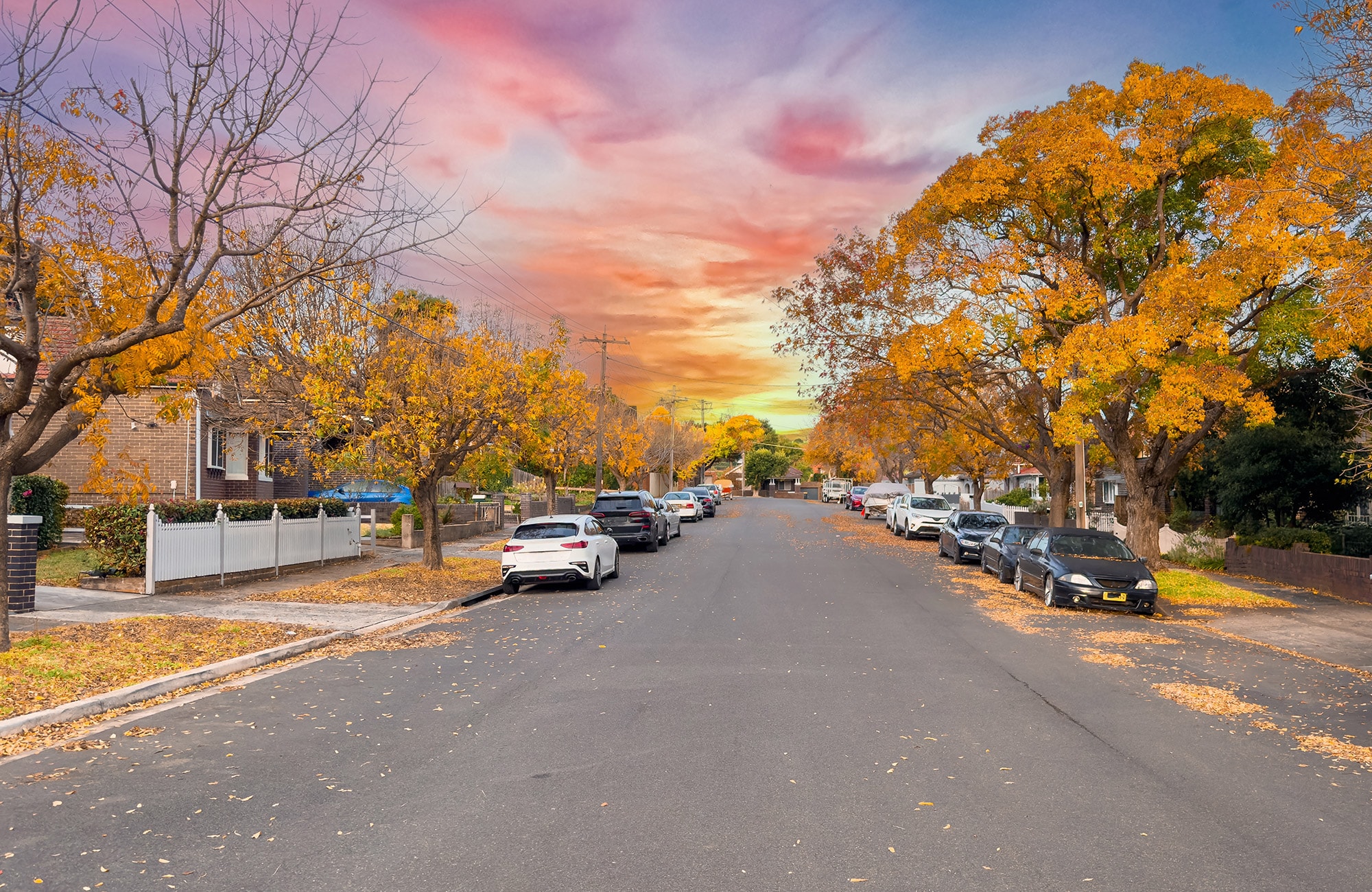  Best Suburbs in Sydney Autumn View | our Top 10