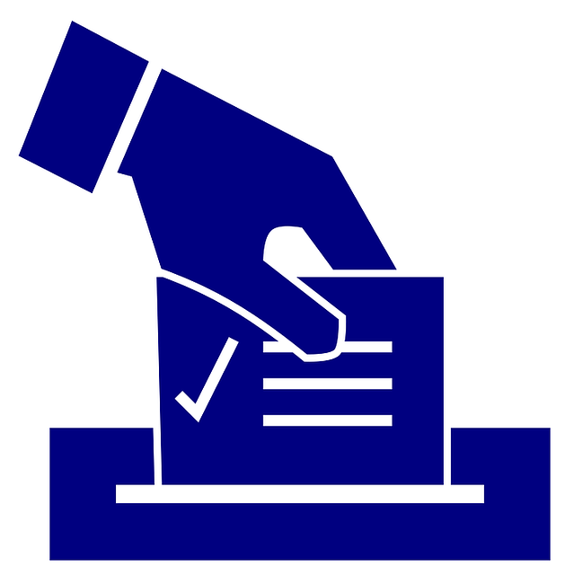 ballot, election, vote, ballot, election, election, vote, vote, vote, vote, vote