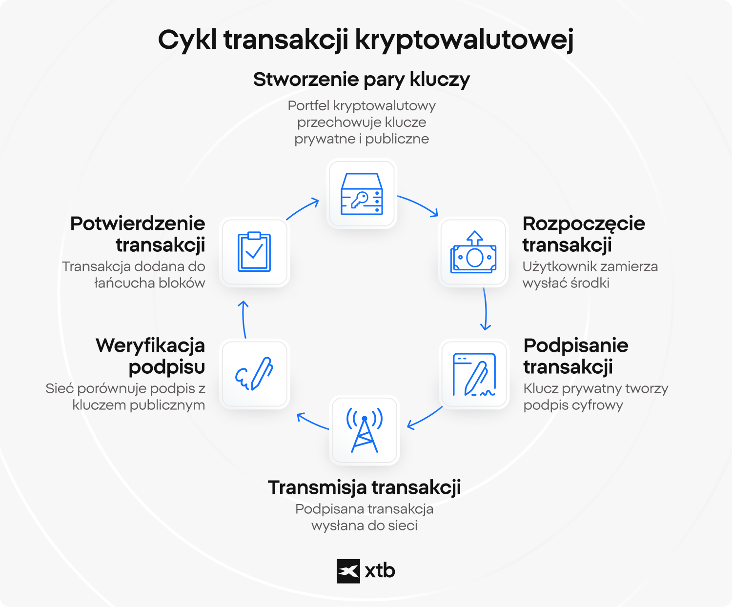 Infografika XTB przedstawiajÄ
ca piÄcioetapowy cykl transakcji kryptowalutowej, od posiadania kluczy portfela i zainicjowania transferu po podpisanie, rozgÅoszenie, weryfikacjÄ i potwierdzenie transakcji w blockchainie.Â