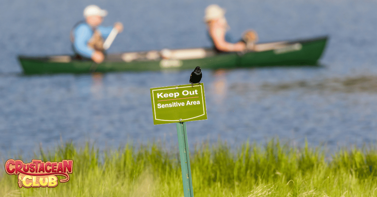 A strategy for protecting wildlife by creating designated keep out areas 