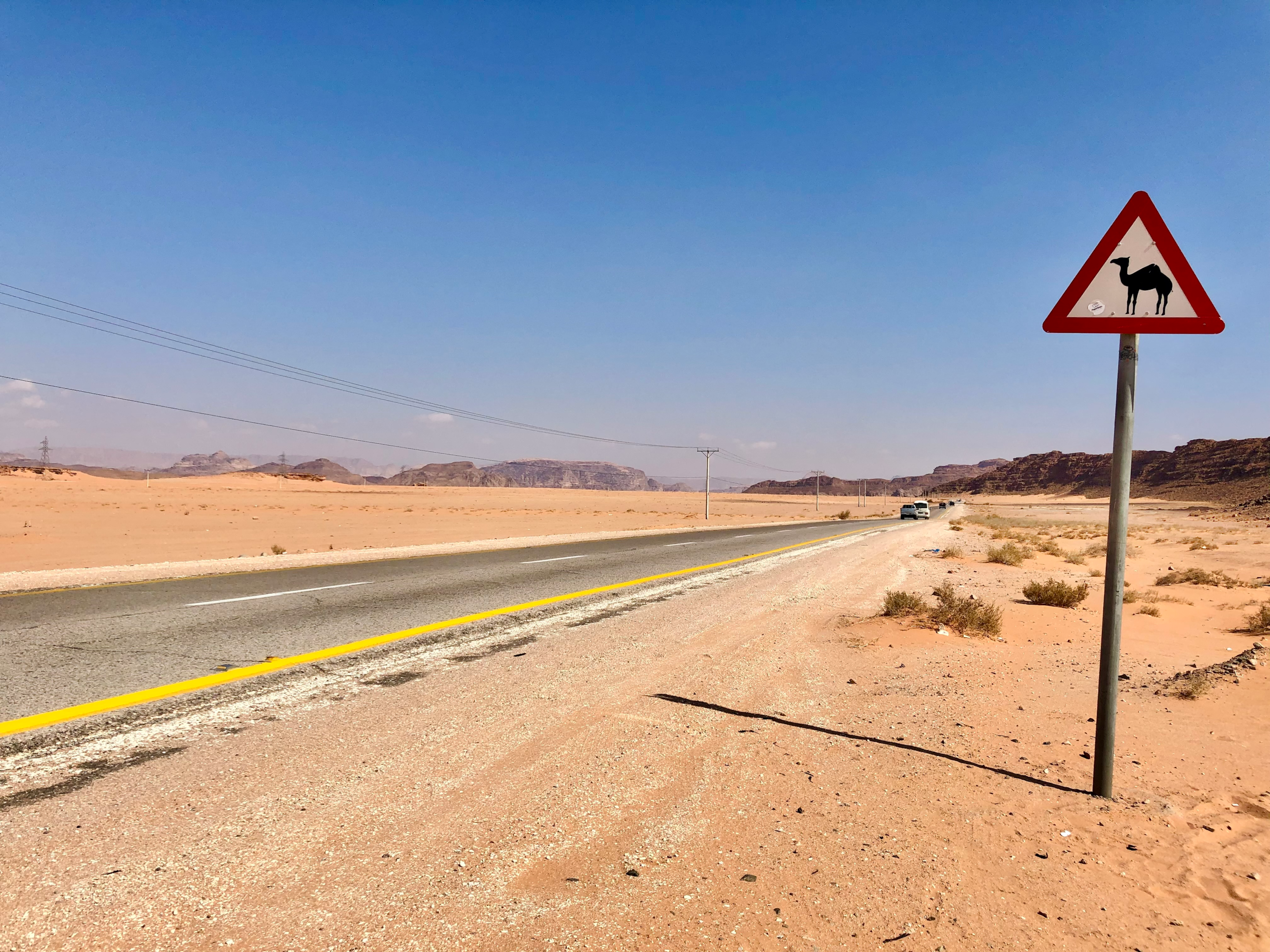 Caution for camel sign on the road