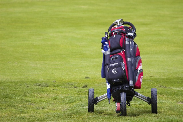 How Many Clubs Can You Carry in a Golf Bag?