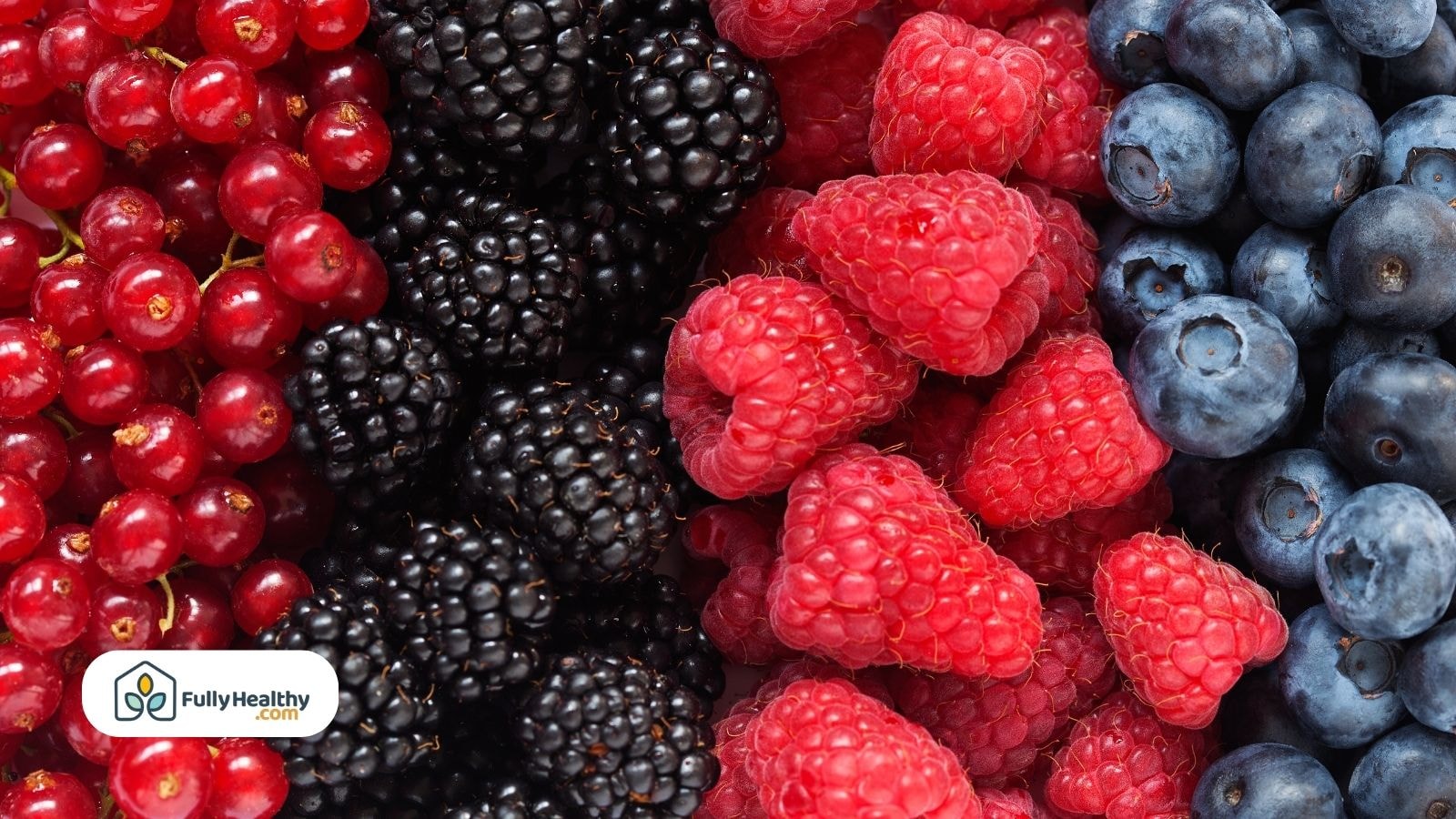 A variety of fresh berries including red currants, blackberries, raspberries, and blueberries