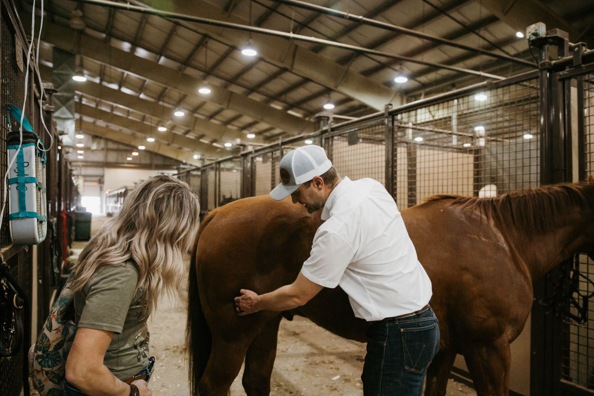 Man and woman staring at horse in a horse stable