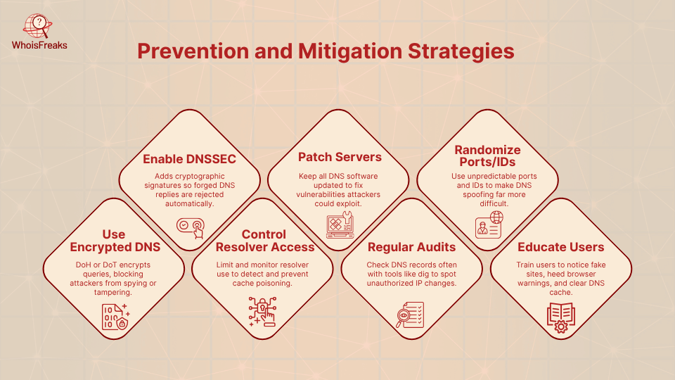 Icon checklist showing layered DNS security measures like DNSSEC, updates, encrypted DNS, and user education.
