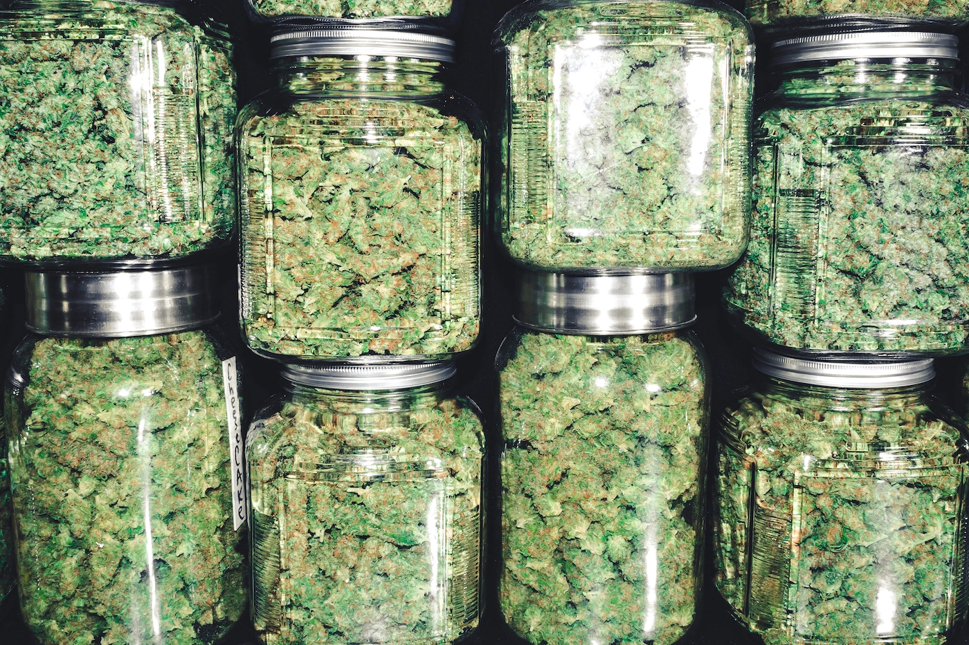 Curing Cannabis
