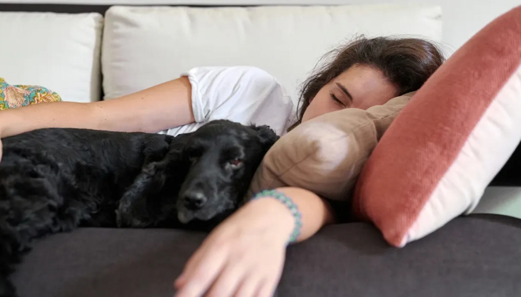 "Kvinne som sover på sofa med hodet på pute, mens en svart hund ligger tett inntil henne og hviler. hypokalemi 2,5 mmol l 2,5 2,9 mmol l 3,0 mmol l 3,0 3,5 mmol l 3,5 mmol l kalium 3,0 mmol l nacl 9 mg ml s kalium kalium inn i celler mmol l hos 20 mmol l time i sentral vene time i perifer vene ekg forandringer tilskudd av kalium torsades de pointes hos pasienter kalium tap av kalium alvorlig hypokalemi mye kalium infusjonshastighet 10 mmol primær og sekundær hyperaldosteronisme stimulering stress eller administrering ringer acetat ekg monitorering per døgn 40 mmol kaliumklorid 20 mmol kaliumklorid time kaliumklorid time i sentral infusjonshastighet 10 mmol kaliumklorid kaliumklorid time i perifer 40 mmol kaliumklorid time mmol l og hjertesykdom 10 mmol kaliumklorid time 3,6 mmol l 0,5 mmol l andre legemidler hypokalemi kan føre metabolsk alkalose adrenerg stimulering stress serum kalium gastrointestinale årsaker maksimal infusjonshastighet 0,5 mmol ml gitt kontinuerlig ekg monitorering kreatinin karbamid gi hypokalemi 4 6 timer intravenøs behandling kiarash tazmini forekommer som regel årsak til hypokalemi 1 mmol kg metabolsk acidose høye doser plasma kalium økt risiko nært beslektede renalt tap hypokalemi forårsaket allmenn svakhet årsak se metabolske alkalosen mmol per hos 1 mmol ace hemmere anorexia nervosa behandling