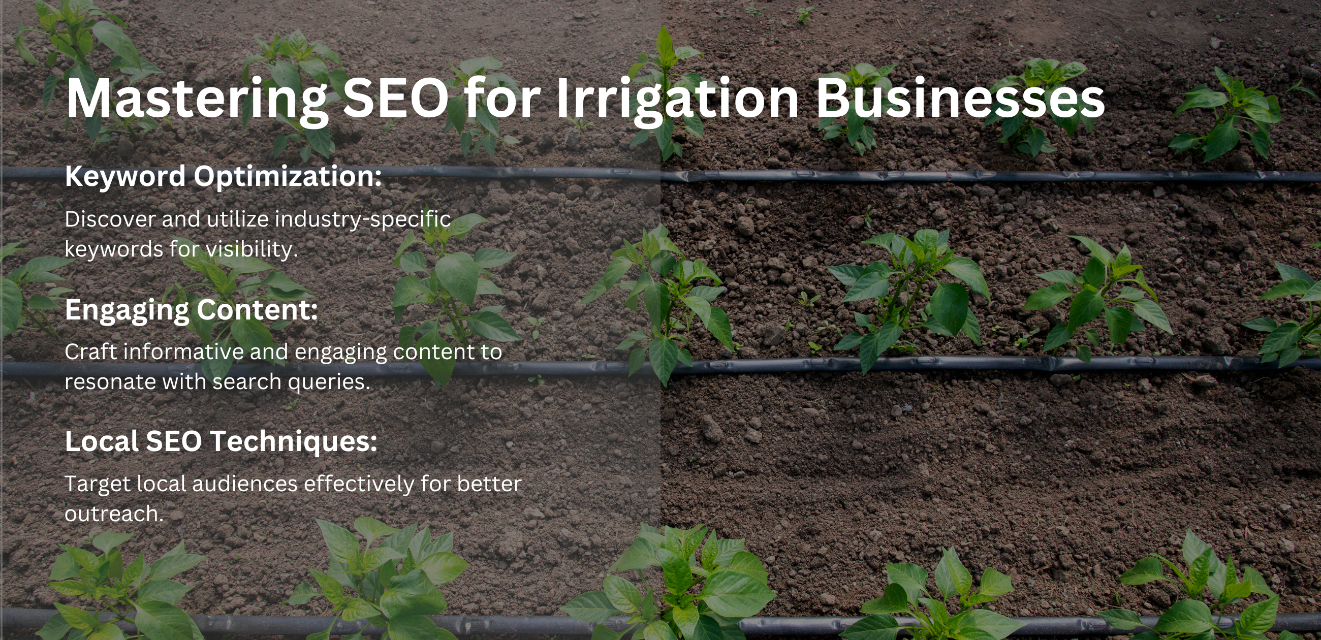 Mastering SEO for Irrigation Businesses