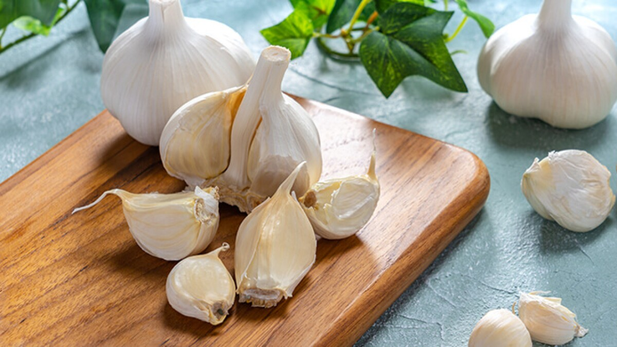 Garlic